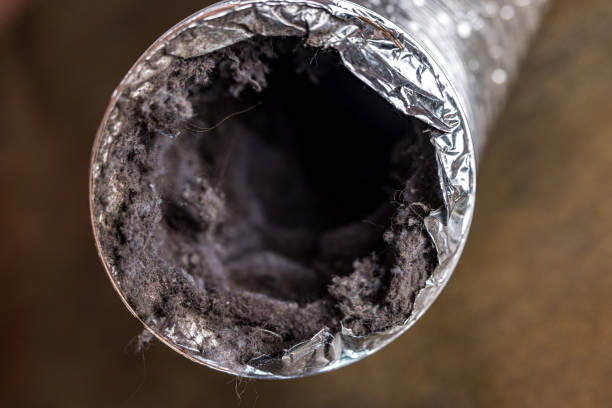 Best Ventilation Cleaning Services  in Hollandale, MS